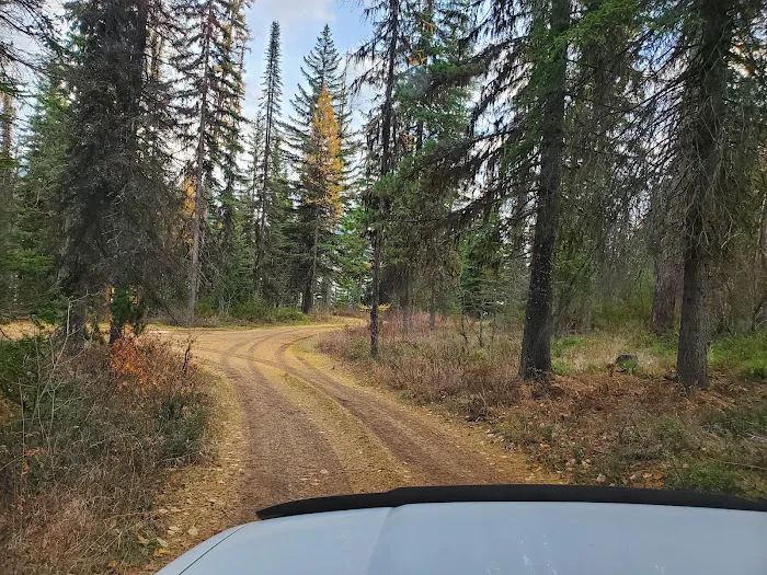 Lakeview Campground Picture 4