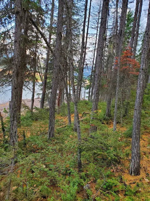 Lakeview Campground Picture 6