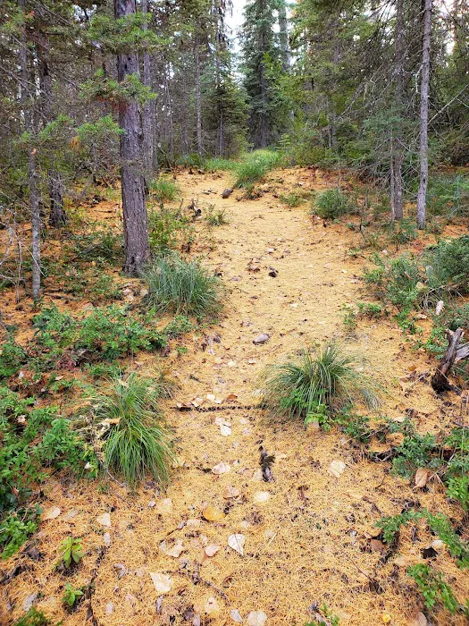 Lakeview Campground Picture 2