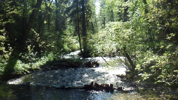 Soup Creek Campground Picture 2