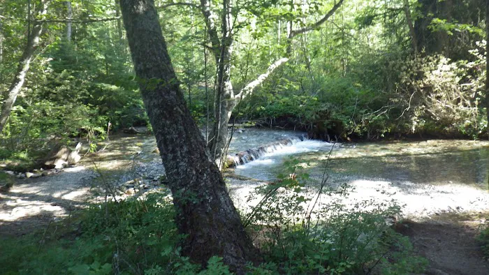 Soup Creek Campground Picture 3