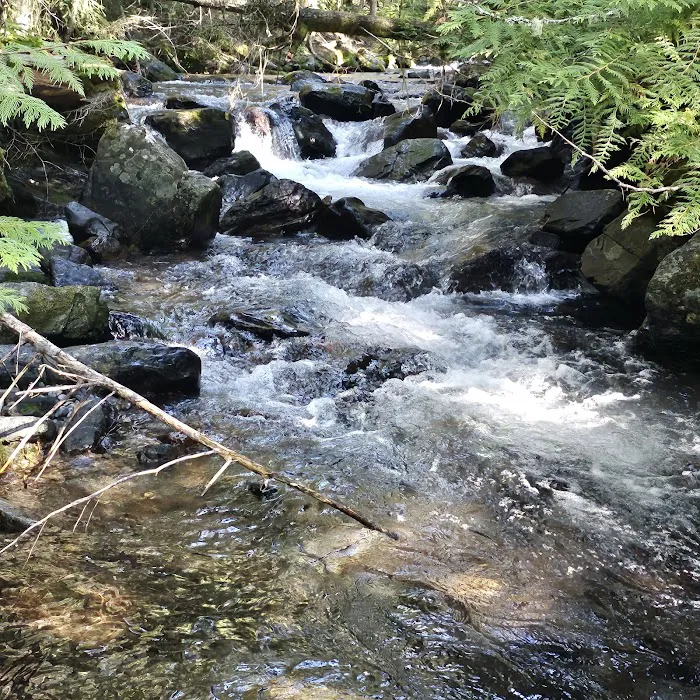 North Crow Creek Campground Picture 5