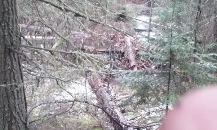 North Crow Creek Campground Picture 8