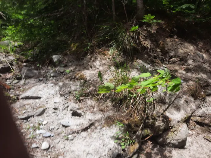 North Crow Creek Campground Picture 6