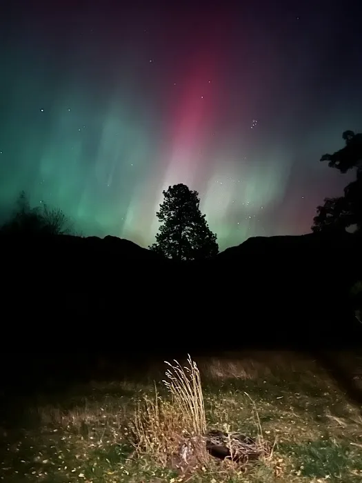 Mere’s Magic Rainbow Trout Farm Picture 2