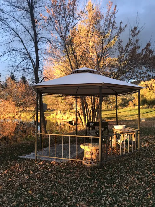 Mere’s Magic Rainbow Trout Farm Picture 1