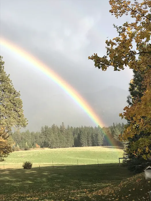 Mere’s Magic Rainbow Trout Farm Picture 3