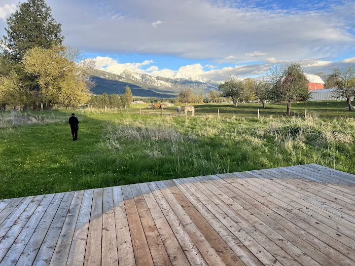 Mere’s Magic Rainbow Trout Farm Picture 8