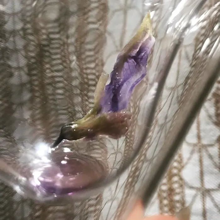 Mere’s Magic Rainbow Trout Farm Picture 9