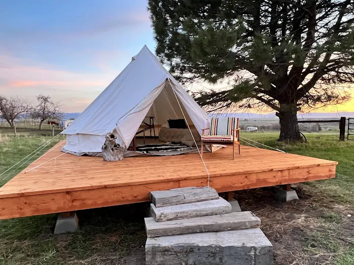 Mere’s Magic Rainbow Trout Farm Picture 5