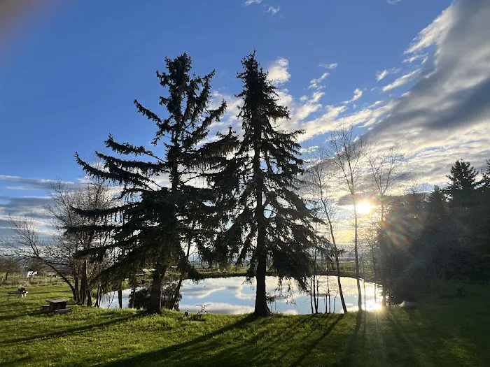 Mere’s Magic Rainbow Trout Farm Picture 4