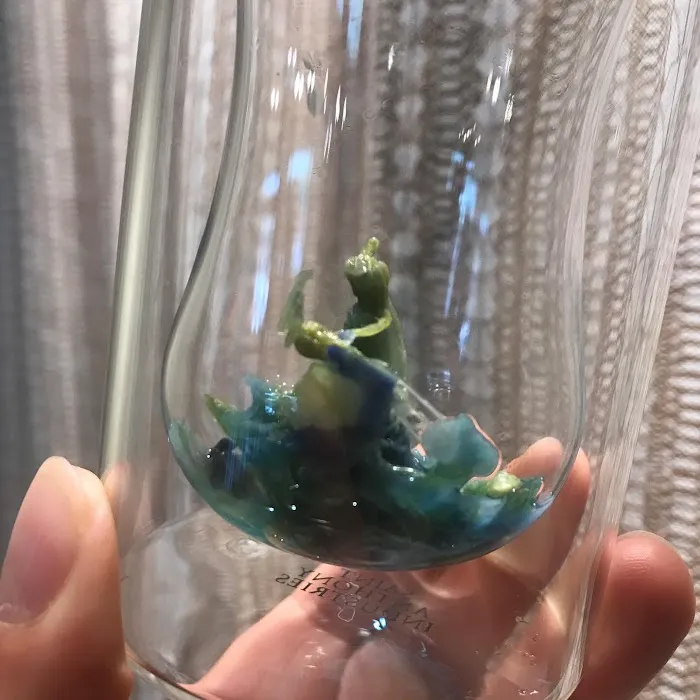 Mere’s Magic Rainbow Trout Farm Picture 10