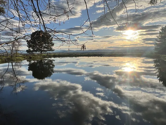Mere’s Magic Rainbow Trout Farm Picture 6