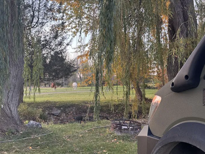 Willow Creek Campground Picture 6