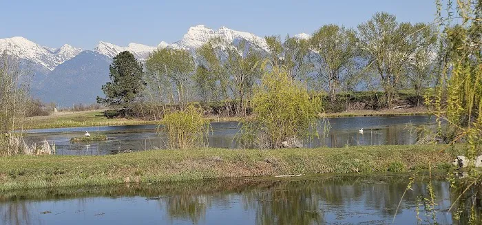 Willow Creek Campground Picture 8