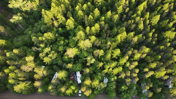 Glacier Campground Picture 10