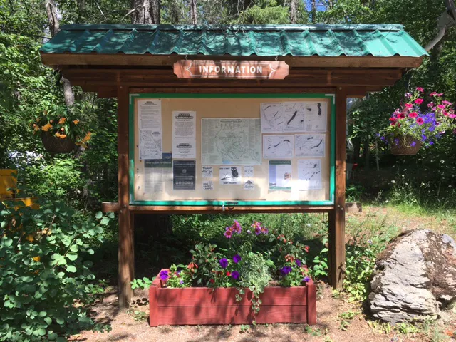 Glacier Campground Picture 9