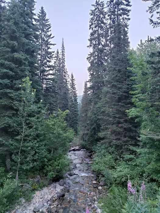 Lid Creek Campground Picture 3