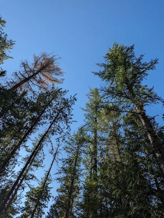 Fish Creek Campground Picture 1