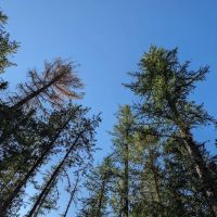 Fish Creek Campground ico