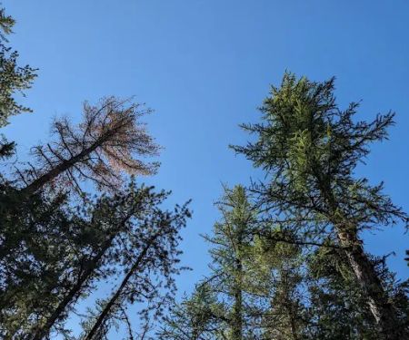 Fish Creek Campground