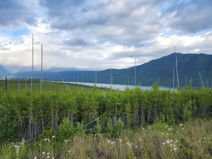 Fish Creek Campground Picture 6