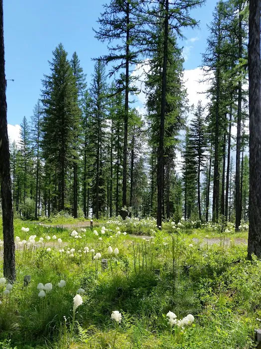 Murray Bay Campground Picture 7