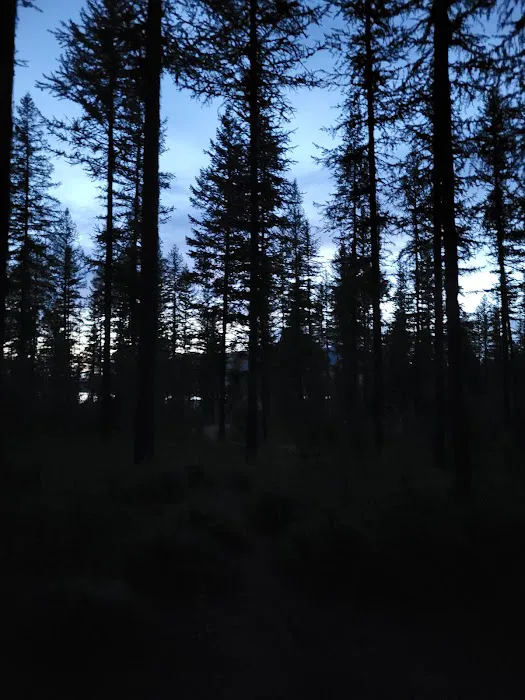 Murray Bay Campground Picture 5