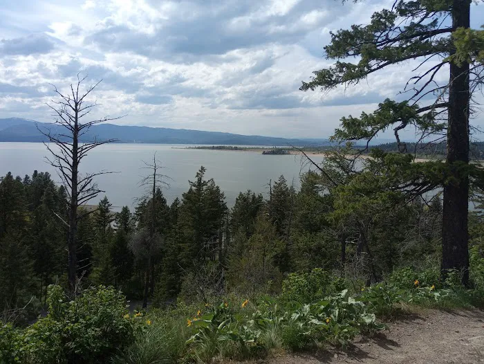 Murray Bay Campground Picture 6