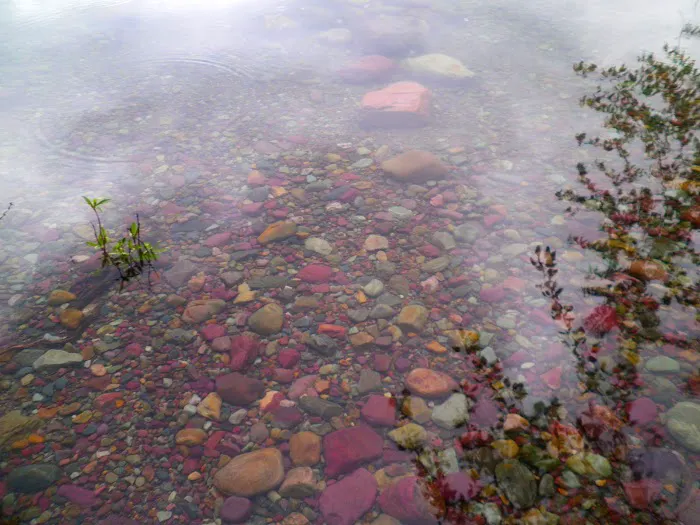 Sprague Creek Campground Picture 8