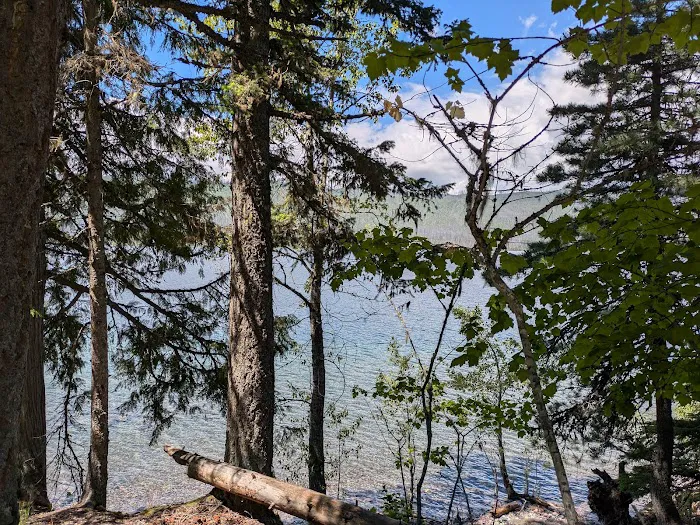 Sprague Creek Campground Picture 5