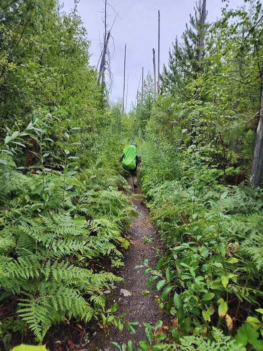 Lake McDonald Backcountry Campground Picture 4