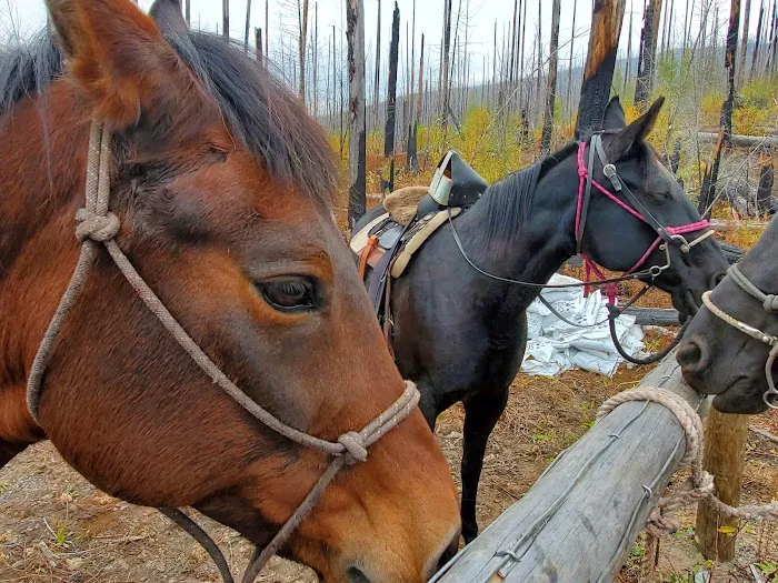 Lake McDonald Backcountry Campground Picture 8