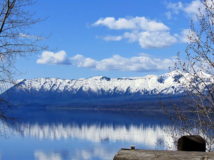Lake McDonald Backcountry Campground Picture 5