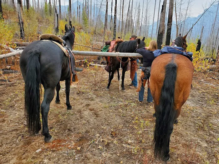 Lake McDonald Backcountry Campground Picture 7