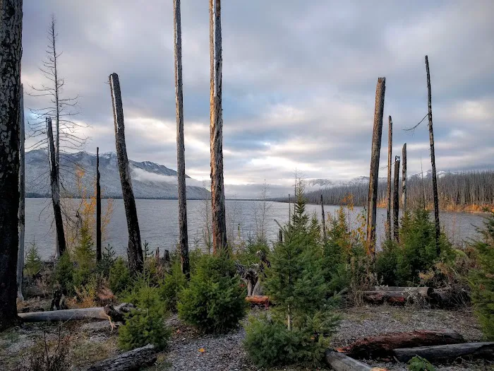 Lake McDonald Backcountry Campground Picture 9
