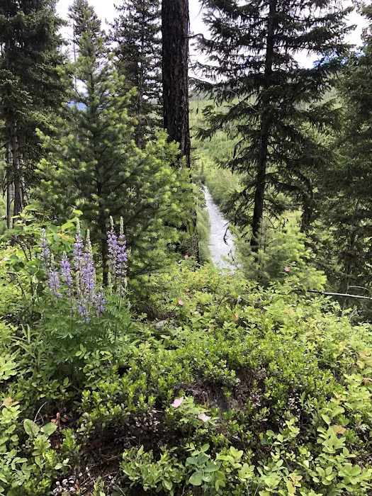 Adair Campground Picture 2