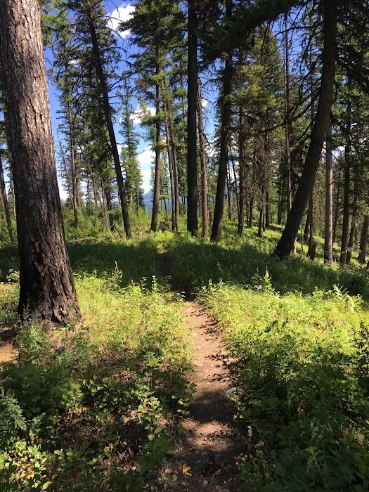 Adair Campground Picture 4