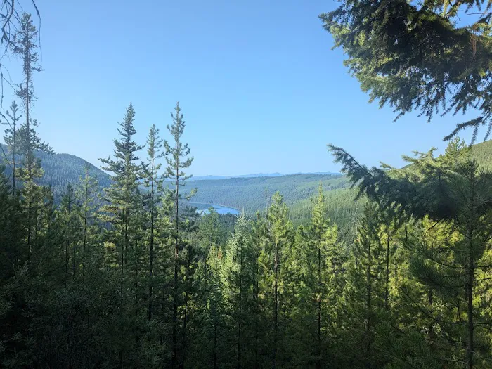 Quartz Lake Campground Picture 5