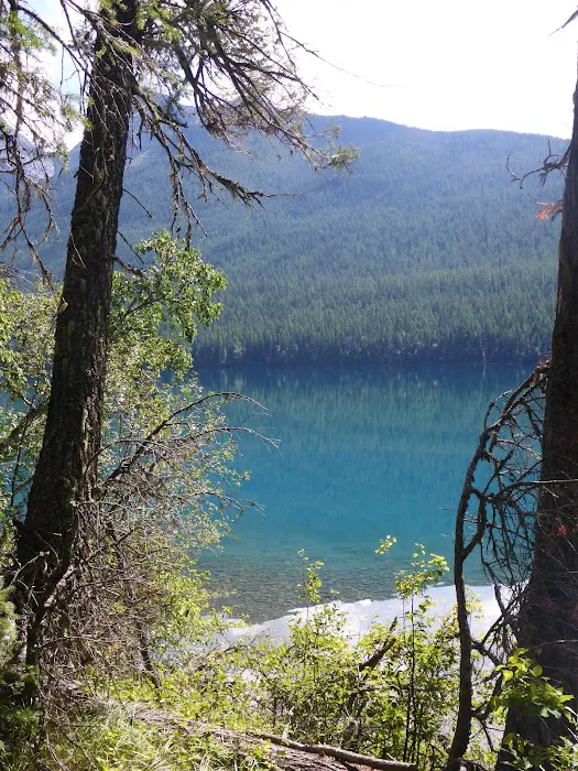 Head Bowman Lake Campground Picture 5