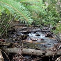 Head Bowman Lake Campground ico