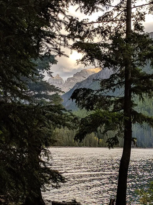 Head Bowman Lake Campground Picture 3