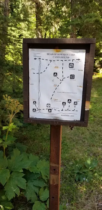Head Bowman Lake Campground Picture 7