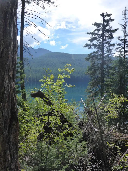 Head Bowman Lake Campground Picture 8