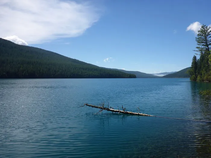 Head Bowman Lake Campground Picture 6