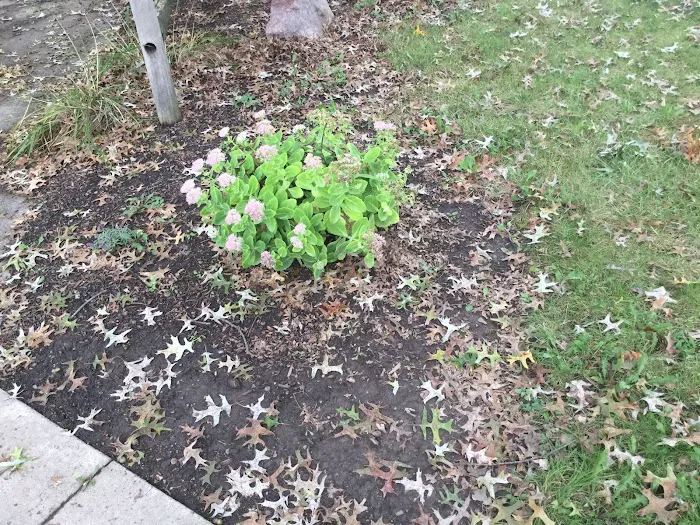 Country Court Estates Picture 9