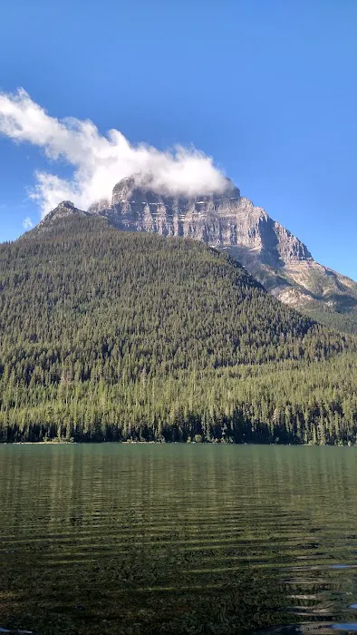 Upper Kintla Lake Campground Picture 3