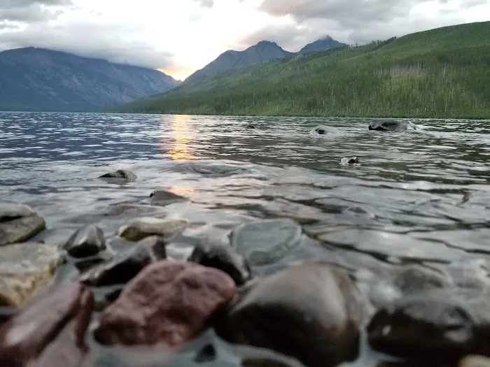 Upper Kintla Lake Campground Picture 10