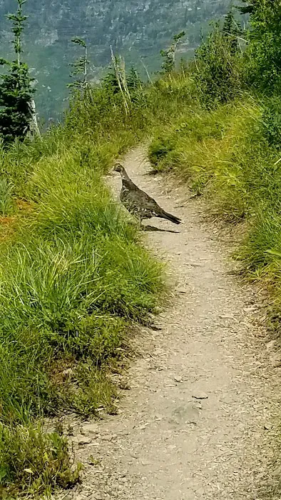 Hole in the Wall Campground Picture 5