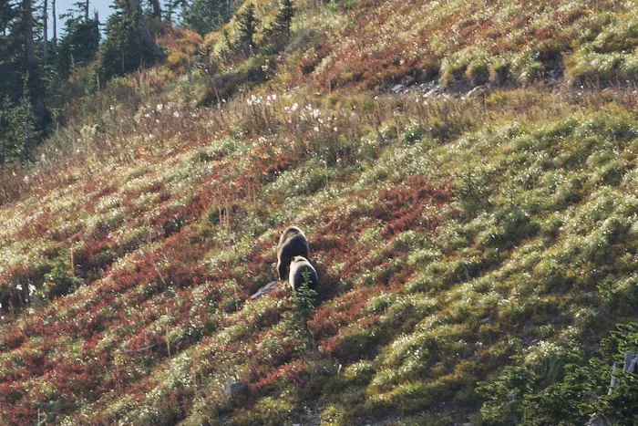 Hole in the Wall Campground Picture 1